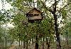 Tree top hut, Tholpetty, Wayanad